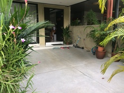 Serangoon Garden Estate (D19), Terrace #171133952